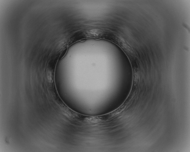 X0000091310331200708311402