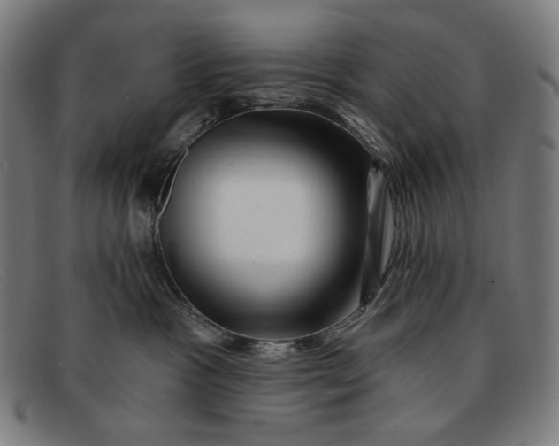 X0000091310333200708311402