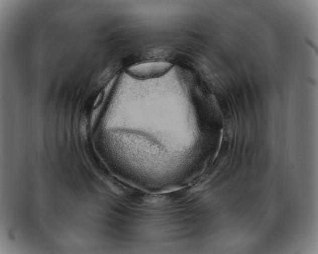 X0000091310334200708311402