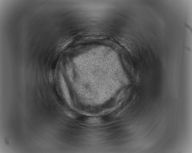 X0000091310335200708311402