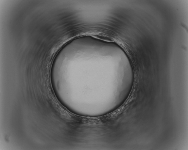 X0000091310337200708311401