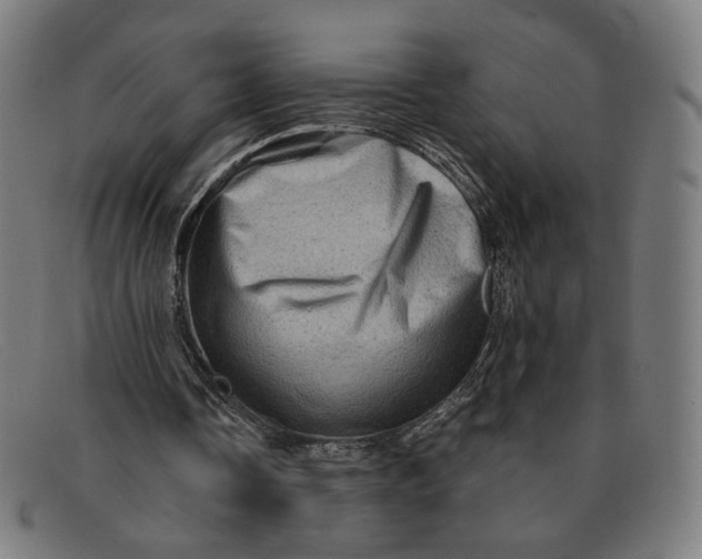 X0000091310338200708311401