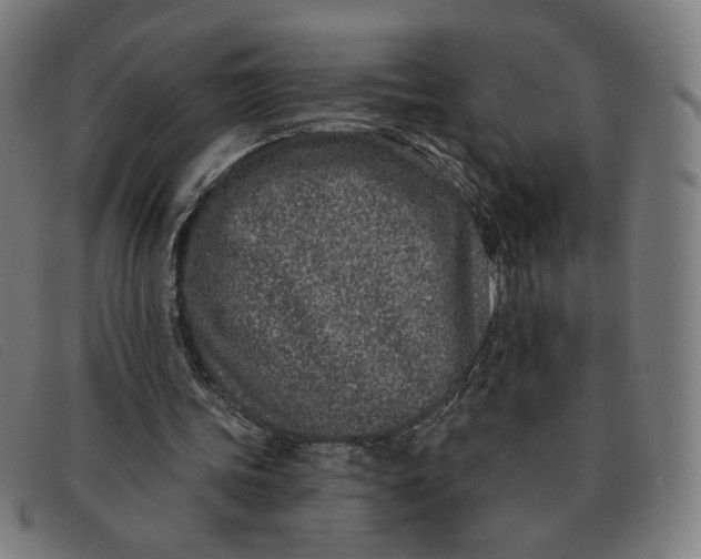 X0000091310339200708311401