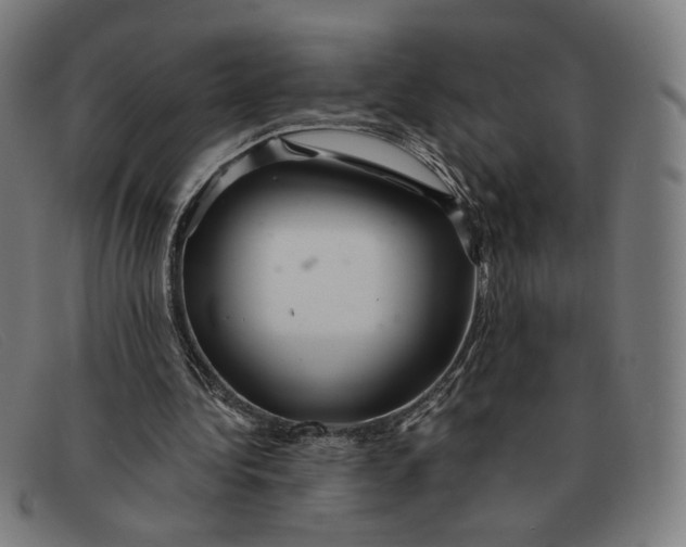 X0000091310340200708311401