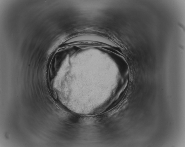 X0000091310341200708311401