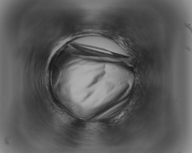 X0000091310342200708311401