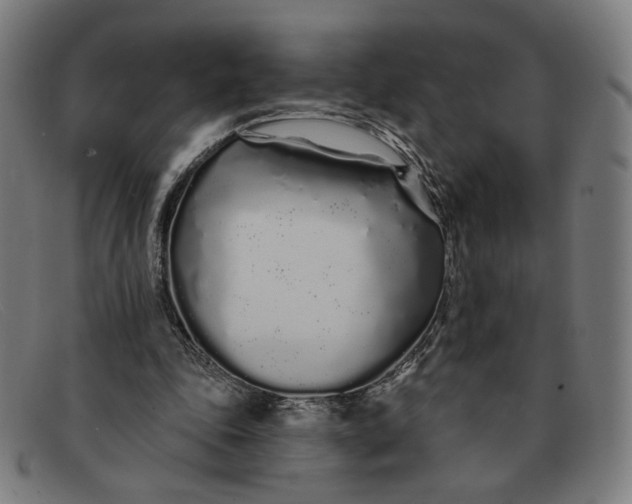 X0000091310343200708311401