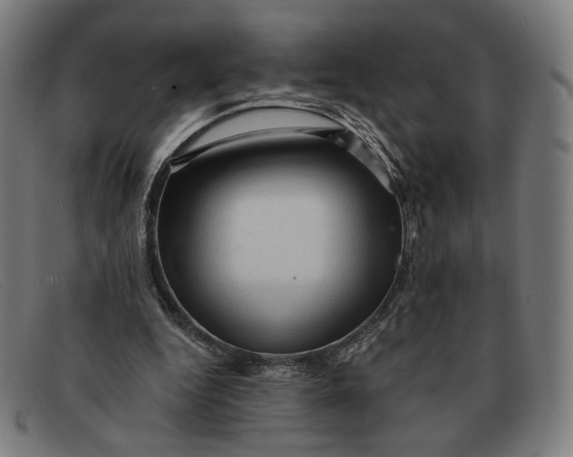 X0000091310344200708311401