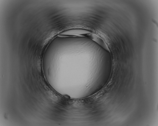 X0000091310345200708311401