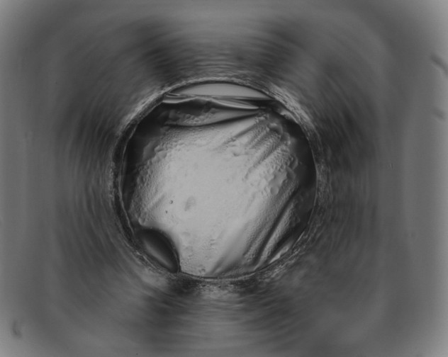 X0000091310346200708311401