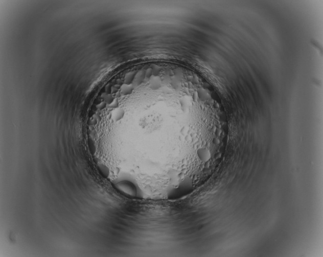 X0000091310347200708311401