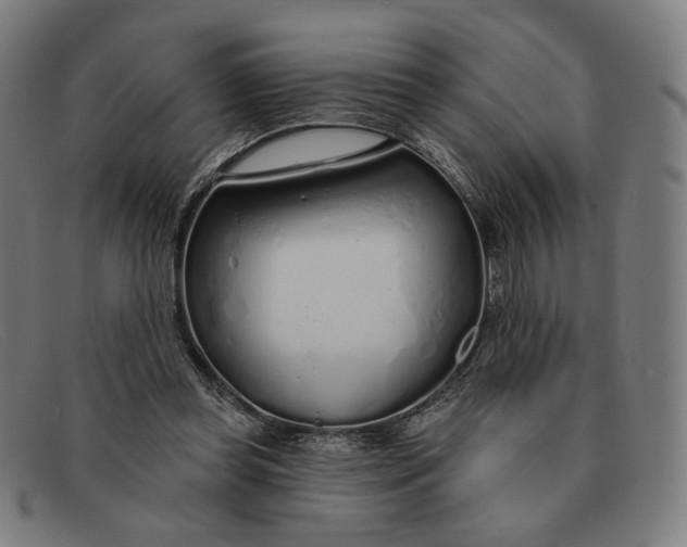 X0000091310349200708311401