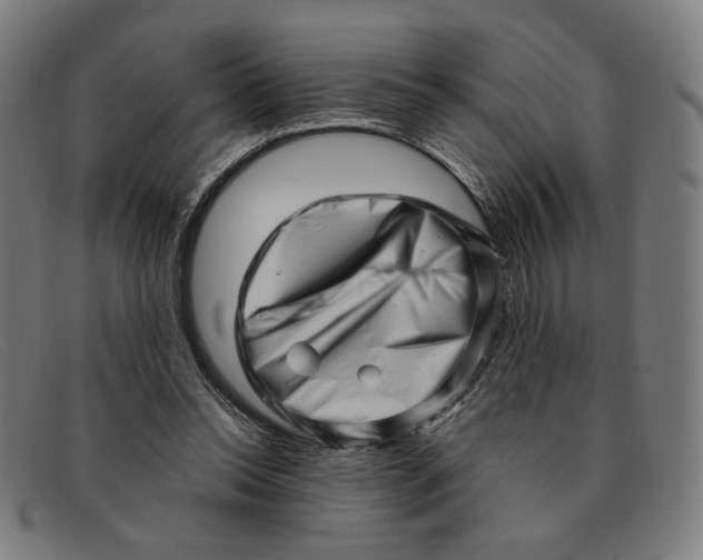 X0000091310350200708311401