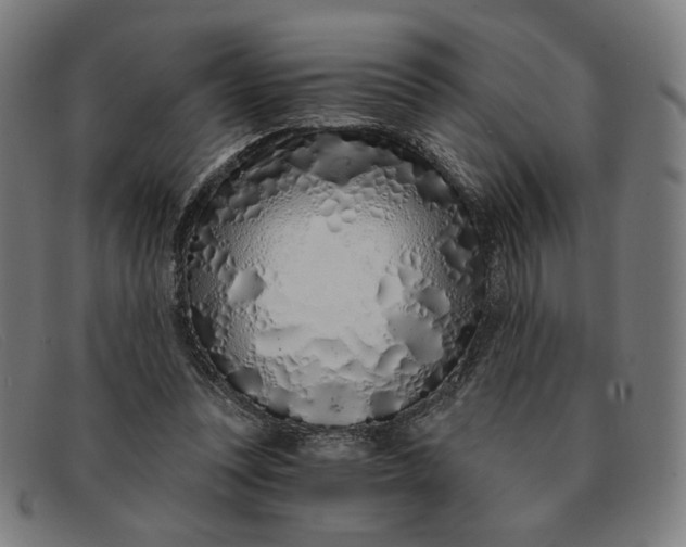 X0000091310351200708311401