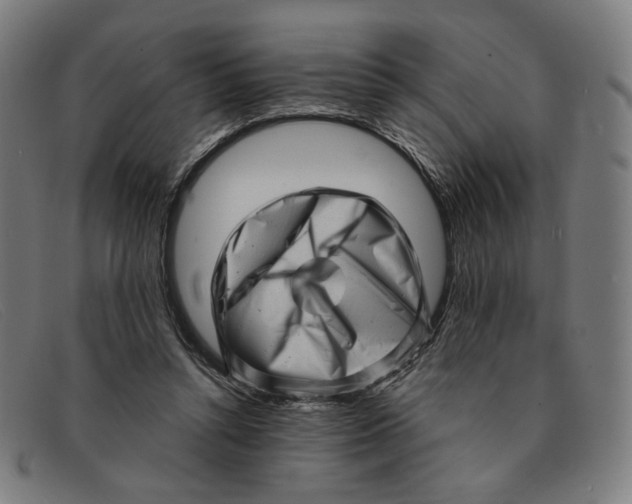 X0000091310352200708311401