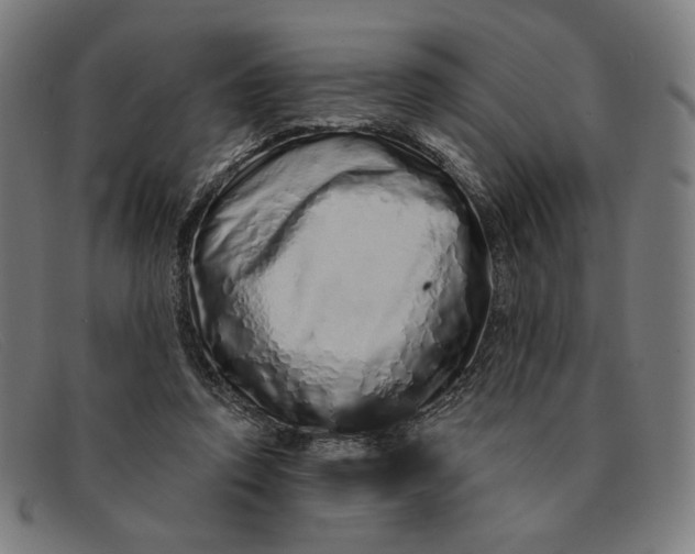 X0000091310354200708311401