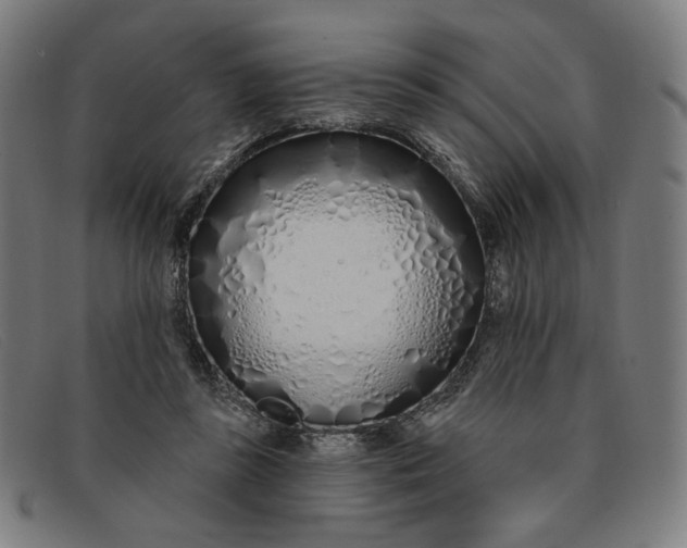 X0000091310355200708311401