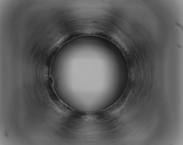 X0000091310356200708311401