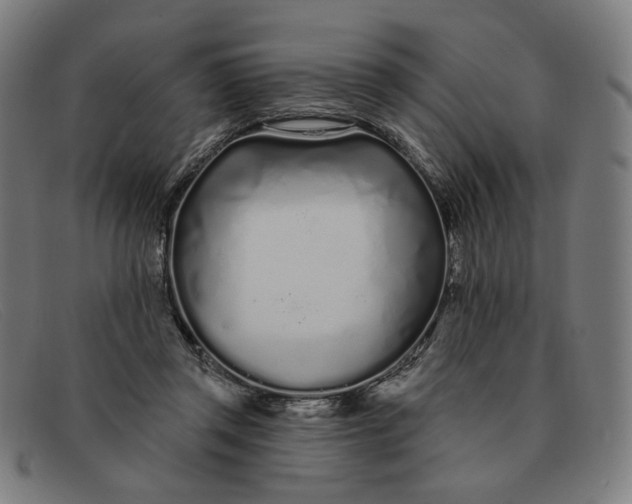 X0000091310357200708311401