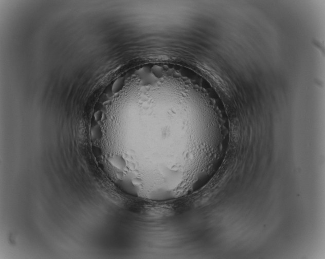 X0000091310359200708311401