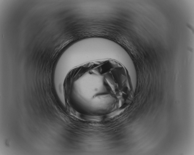 X0000091310360200708311401