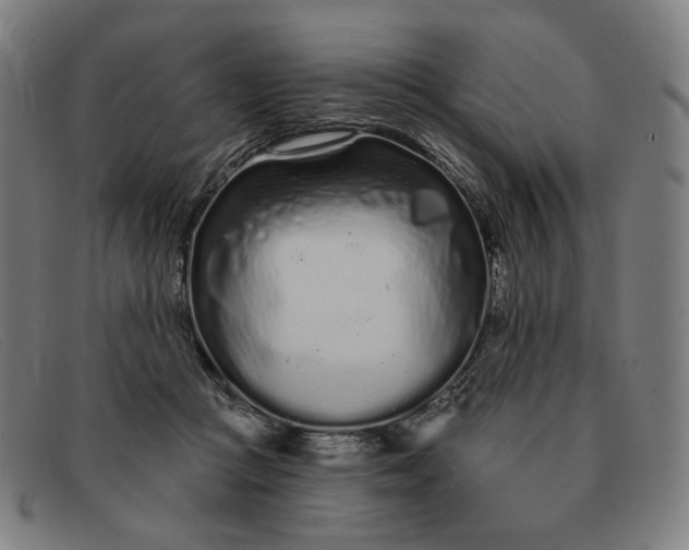 X0000091310361200708311401