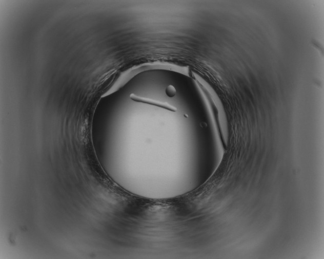 X0000091310364200708311401