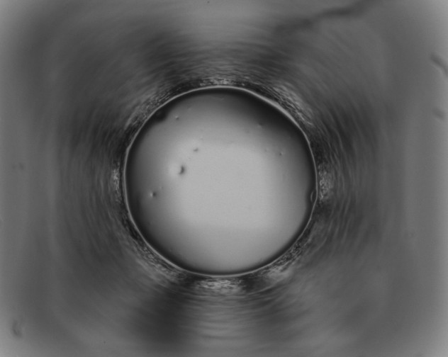 X0000091310365200708311401