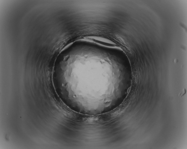 X0000091310366200708311401