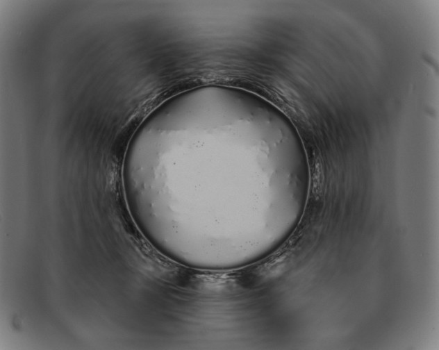 X0000091310367200708311401