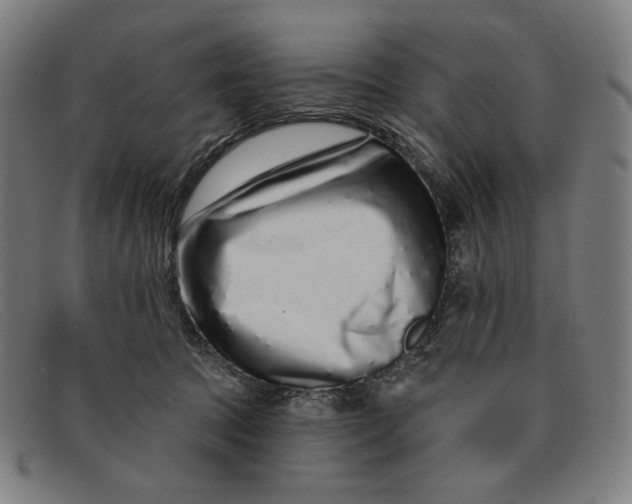 X0000091310369200708311401