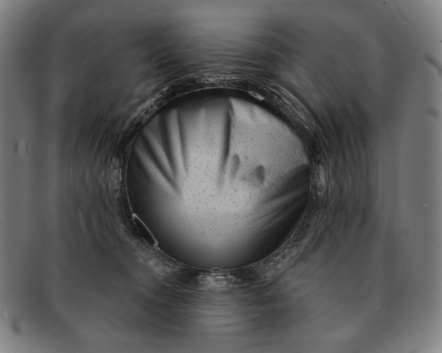 X0000091310372200708311401