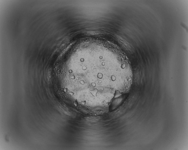 X0000091310373200708311401