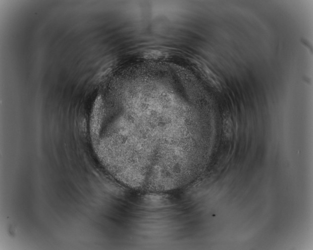 X0000091310375200708311401