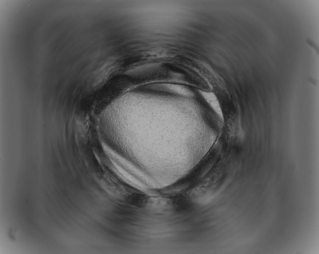 X0000091310376200708311401