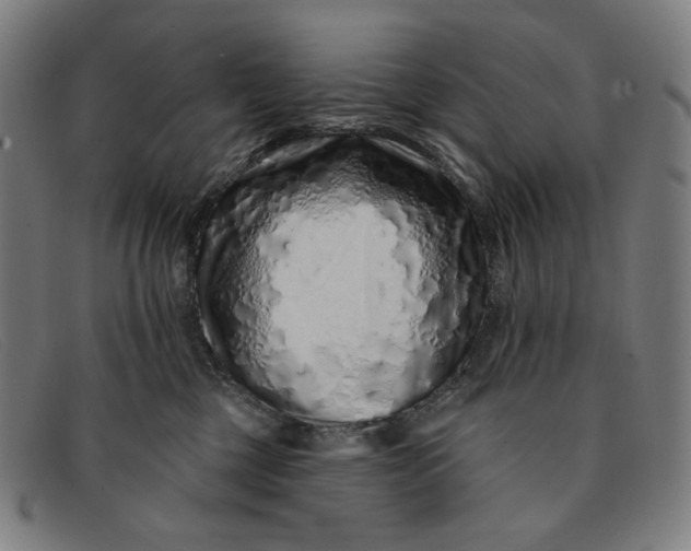 X0000091310377200708311401