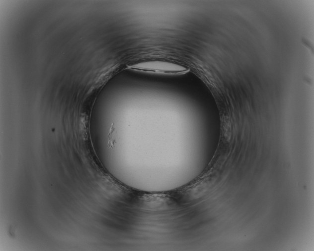 X0000091310378200708311401