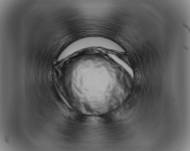 X0000091310379200708311402