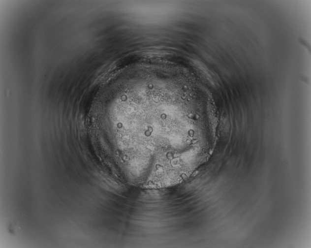 X0000091310381200708311402