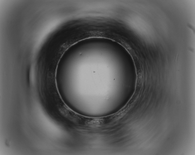 X0000091310383200708311402