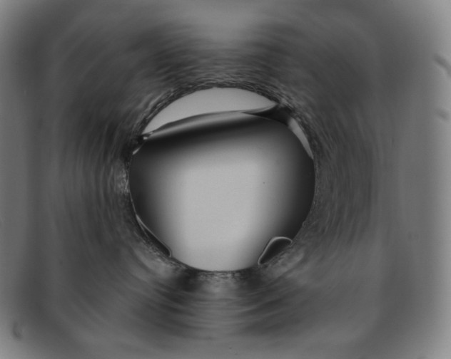 X0000091310384200708311402