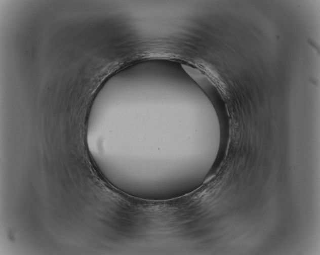 X0000091310385200708311401