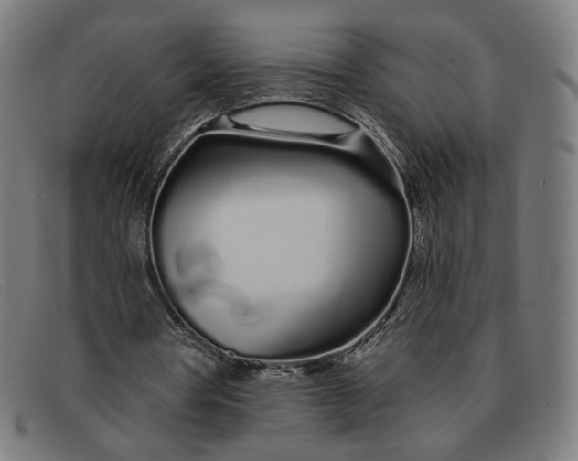 X0000091310386200708311401