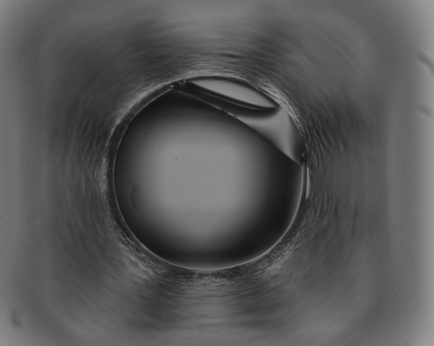 X0000091310387200708311401