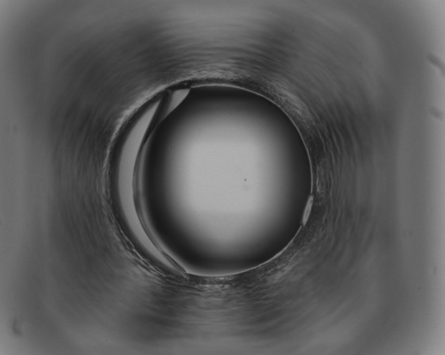 X0000091310388200708311401