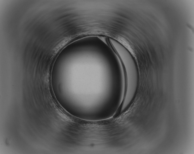 X0000091310389200708311401