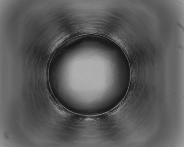 X0000091310390200708311401