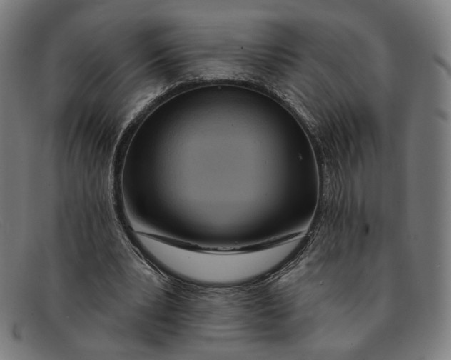 X0000091310391200708311401