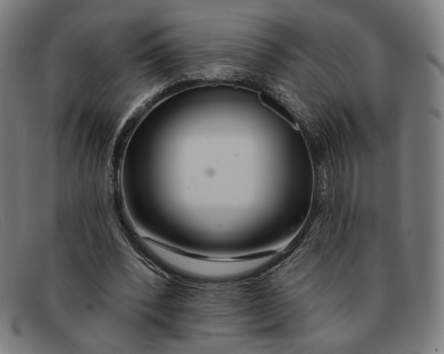 X0000091310392200708311401