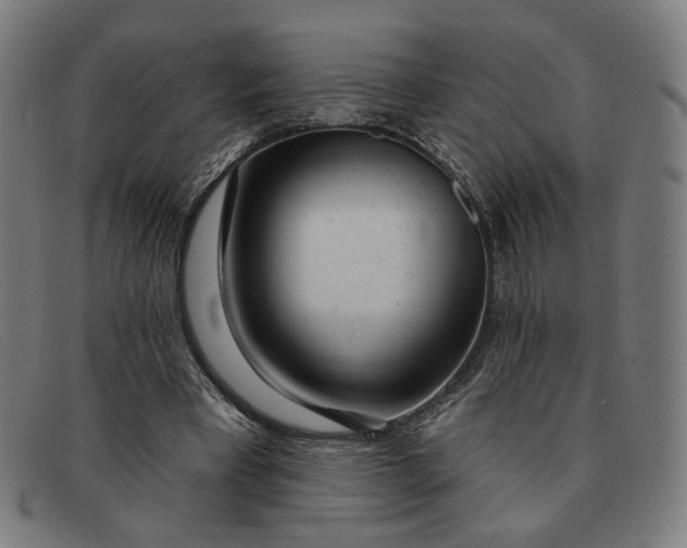 X0000091310393200708311401